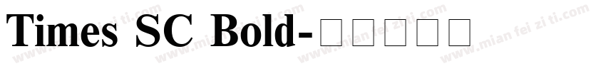 Times SC Bold字体转换